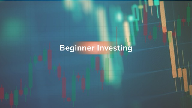I Invested $100 as a Beginner — Here’s What Happened After 30 Days!