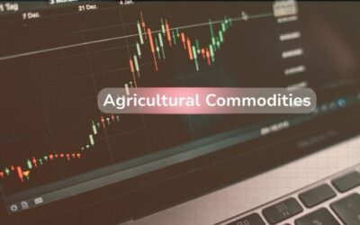 How I Got Started with Agricultural Commodities